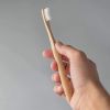 Bamboo Toothbrush (Duo) - Black - Black