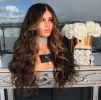 Long Wavy Brown Root Honey Blonde Ombre Wig Half Hand Tied Heat Friendly Synthetic Lace Front Wig - Brown