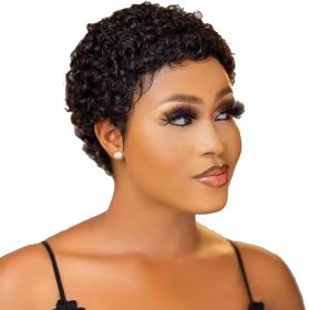 Explosive Head Female Short Curly Hair Temperament Microwave Whole Wig (Color: Black)