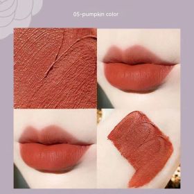 Matte Finish Long Lasting No Stain On Cup Discoloration Resistant Lipstick Lip Liner (Option: 05 Pumpkin)